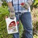 Ortho Home Defense Insect Killer от клещей, блох, муравьев 1152620059 фото 2