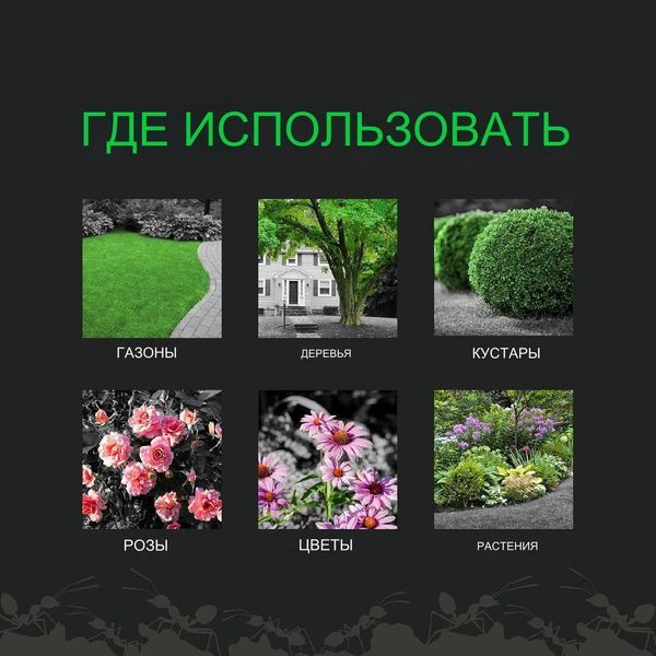 Amdro Quick Kill Концентрат для знищення комах 1639385849 фото