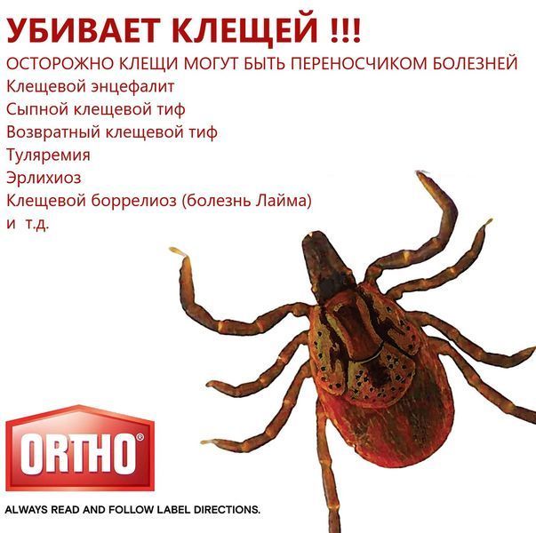 Ortho BugClear Концентрат Захист дому та саду від комах 1858950609 фото