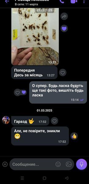 Гель приманка от тараканов из США. TERRO T502 9 фото